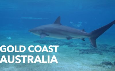 The Gold Coast, Australia