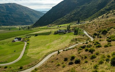 “Basically its a mown strip of bare land”